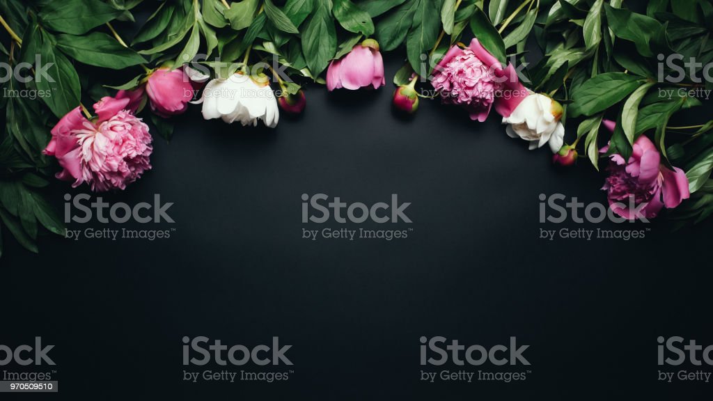Detail Gambar Kosong Putih Gambar Pemandangan Hitam Putih Nomer 26