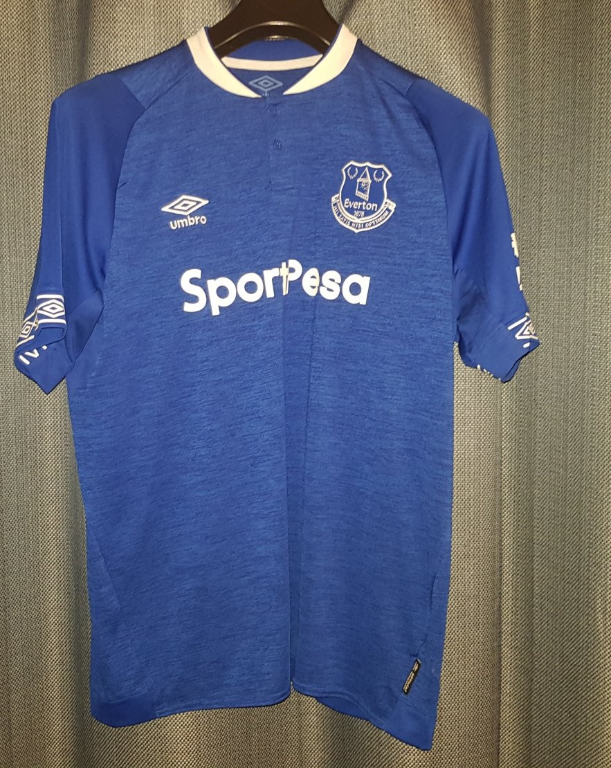 Detail Gambar Kostum Everton 2018 Nomer 2