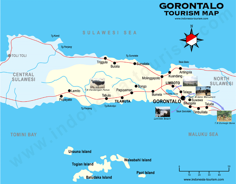 Detail Gambar Kota Mamalia Gorontalo Nomer 10