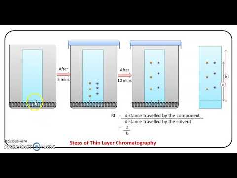 Detail Gambar Kromatografi Lapis Tipis Nomer 5
