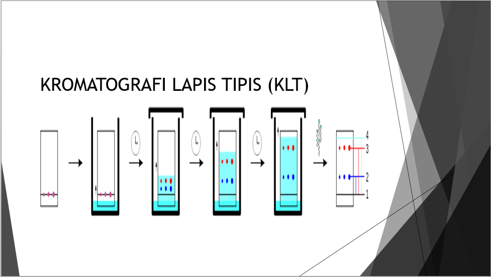 Detail Gambar Kromatografi Lapis Tipis Nomer 47