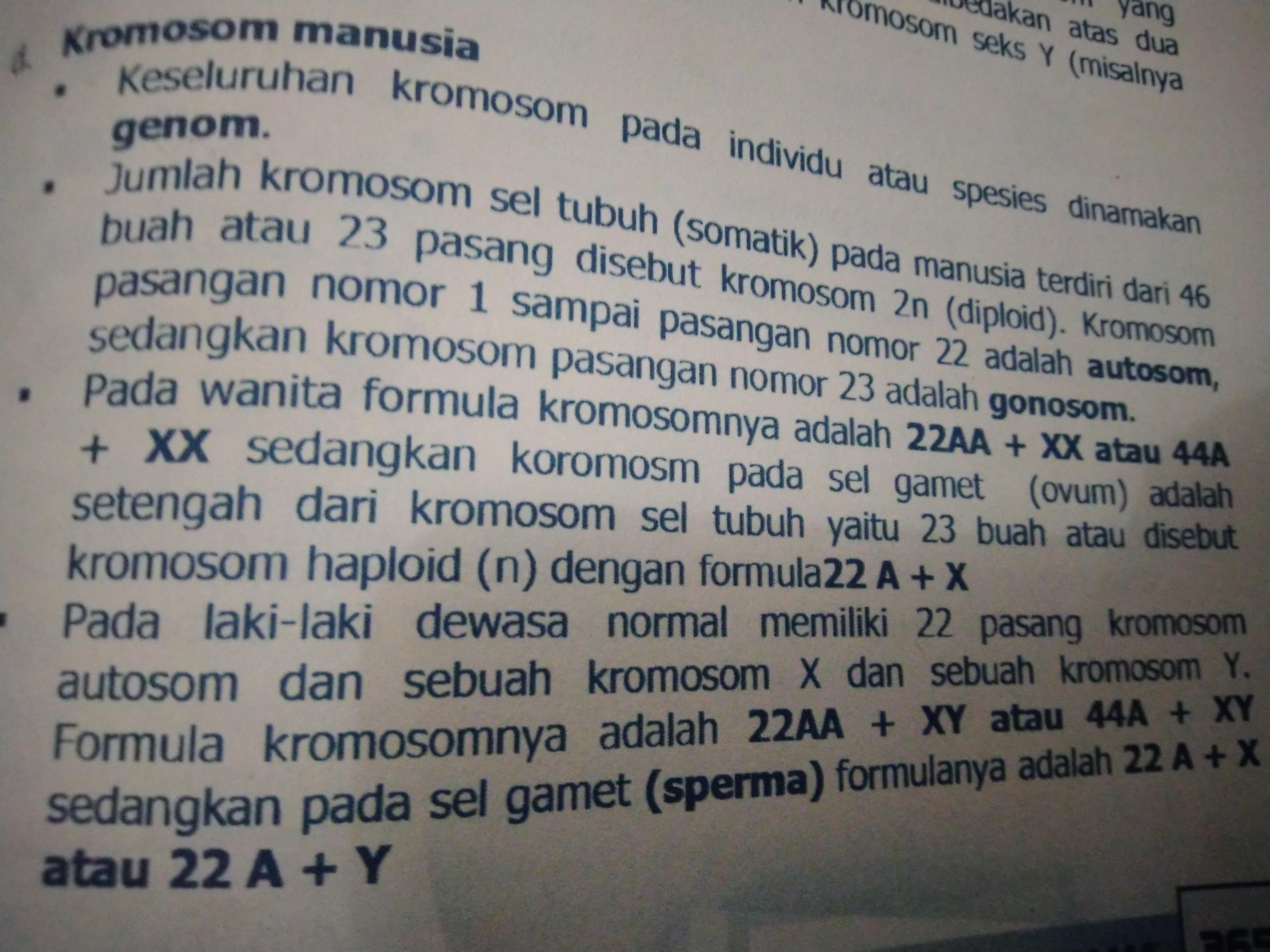 Detail Gambar Kromosom Laki Laki Dan Perempuan Nomer 16