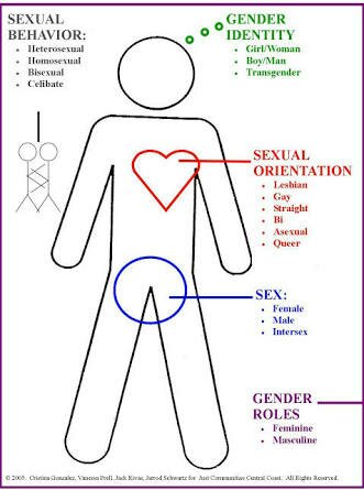 Detail Gambar Kromosom Laki Laki Dan Perempuan Nomer 55