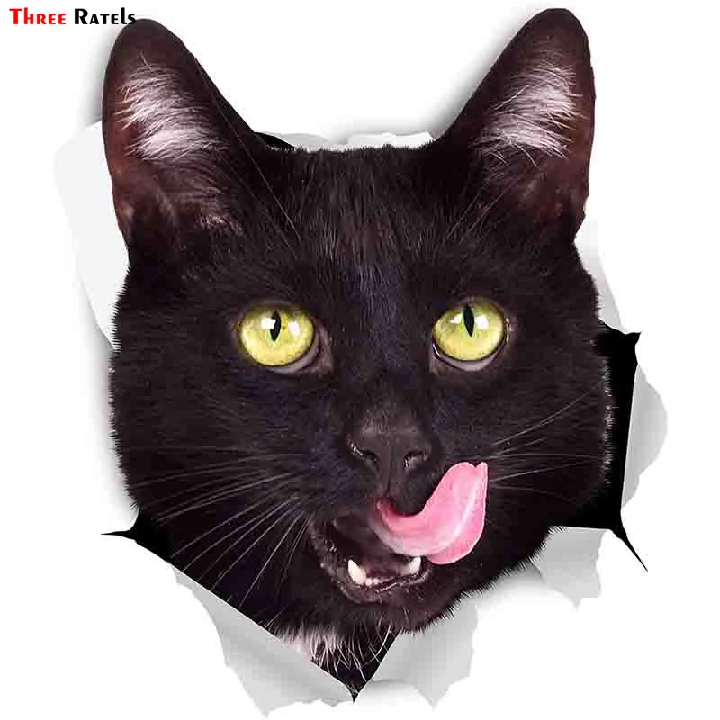Detail Gambar Kucing 3d Nomer 58