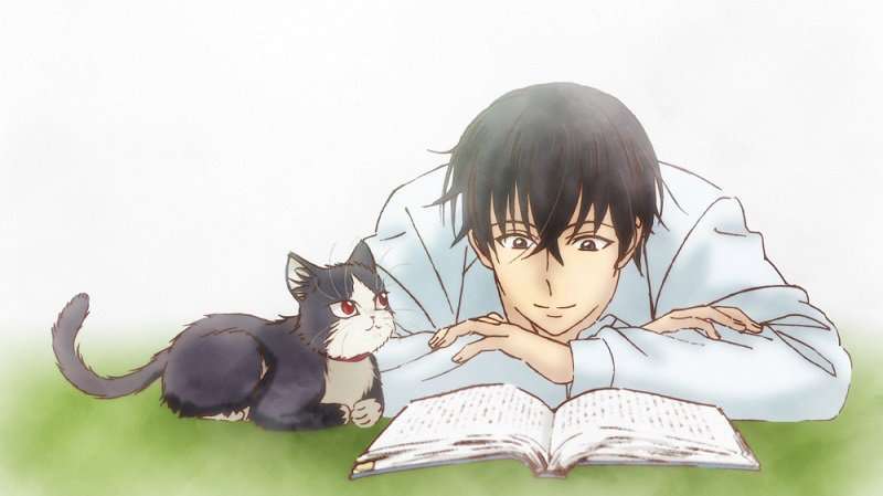 Detail Gambar Kucing Anime Nomer 11