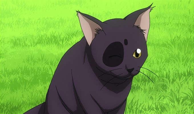 Detail Gambar Kucing Anime Nomer 20