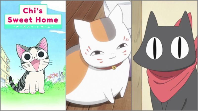 Detail Gambar Kucing Anime Nomer 47