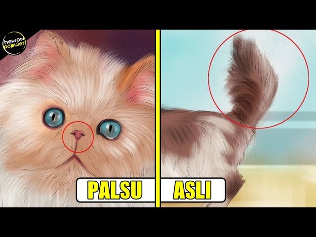 Detail Gambar Kucing Asli Nomer 40