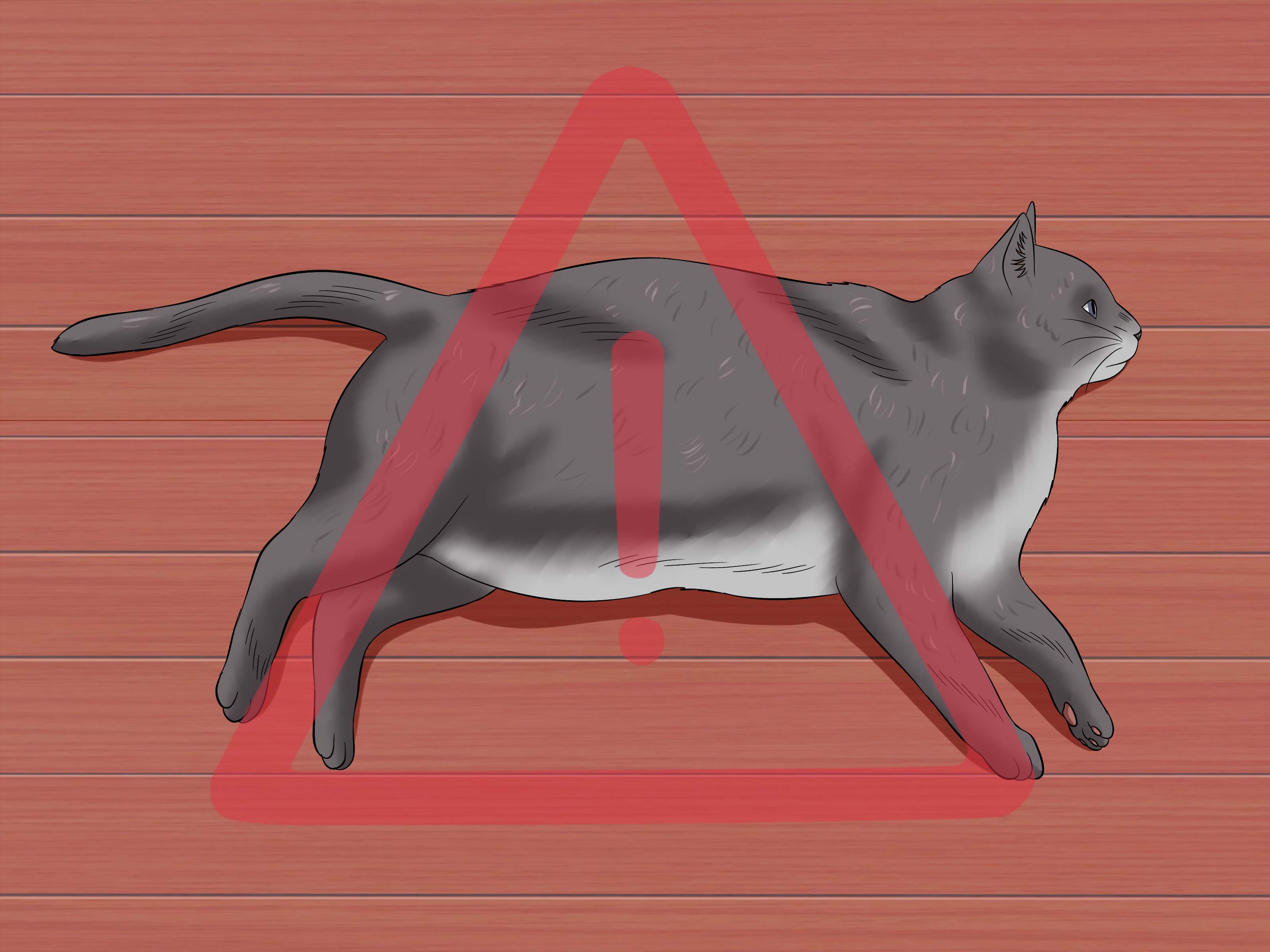 Detail Gambar Kucing Berdiri Nomer 16