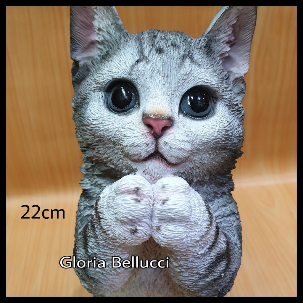 Detail Gambar Kucing Berdiri Nomer 24