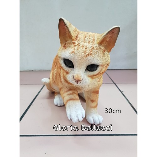 Detail Gambar Kucing Berdiri Nomer 43