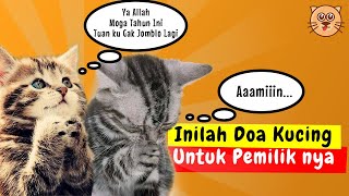 Detail Gambar Kucing Berdoa Nomer 32