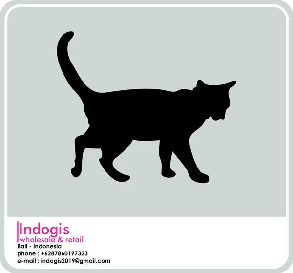 Detail Gambar Kucing Berjalan Nomer 54