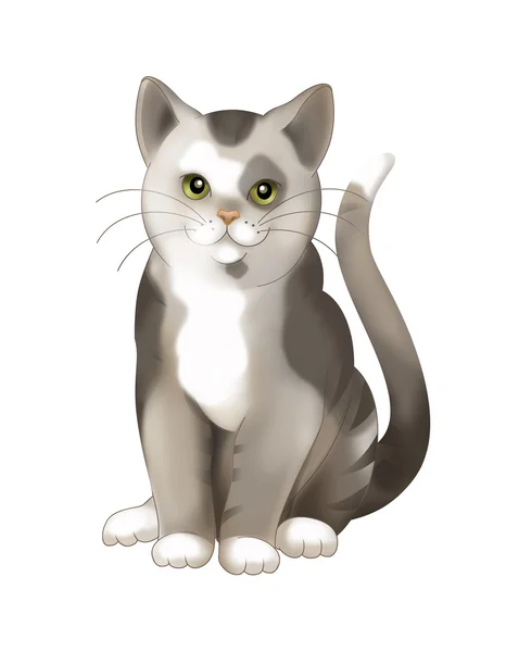 Detail Gambar Kucing Cartoon Nomer 24