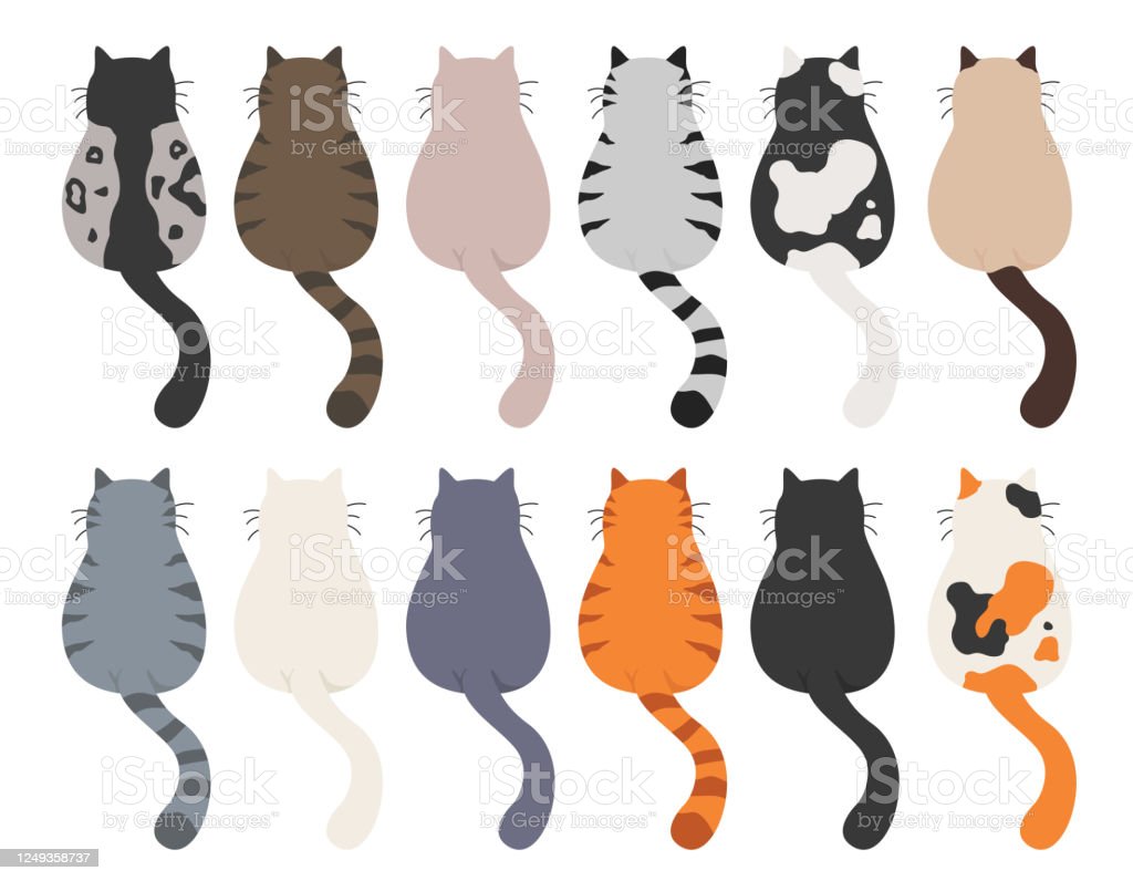 Detail Gambar Kucing Clipart Nomer 37