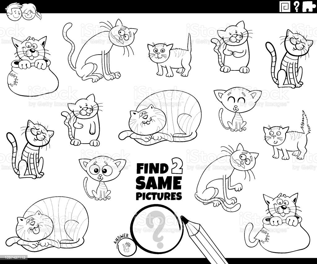 Detail Gambar Kucing Di Buku Gambar Nomer 26
