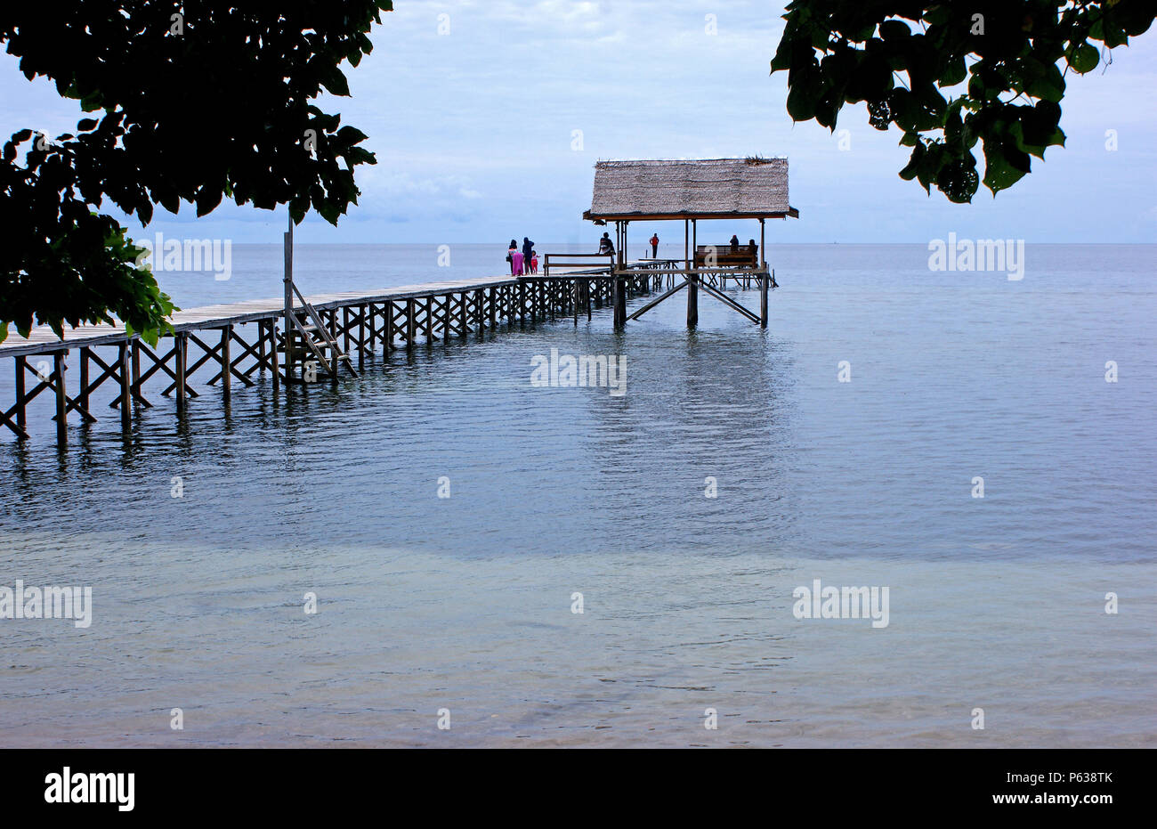 Detail Gambar Kucing Di Pantai Nomer 24