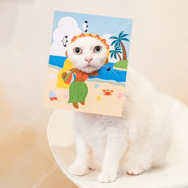 Detail Gambar Kucing Di Pantai Nomer 44