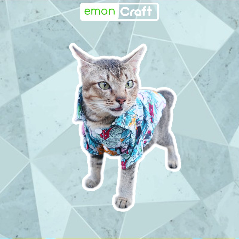 Detail Gambar Kucing Di Pantai Nomer 49
