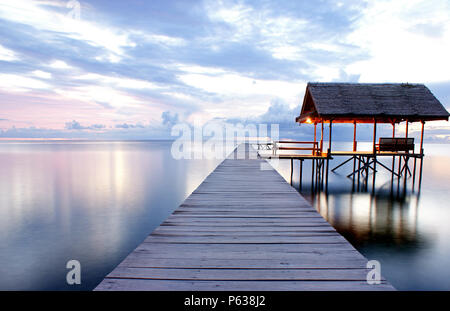Detail Gambar Kucing Di Pantai Nomer 53