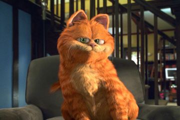 Detail Gambar Kucing Garfield Nomer 3