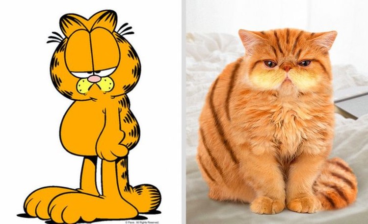 Gambar Kucing Garfield Kartun - KibrisPDR