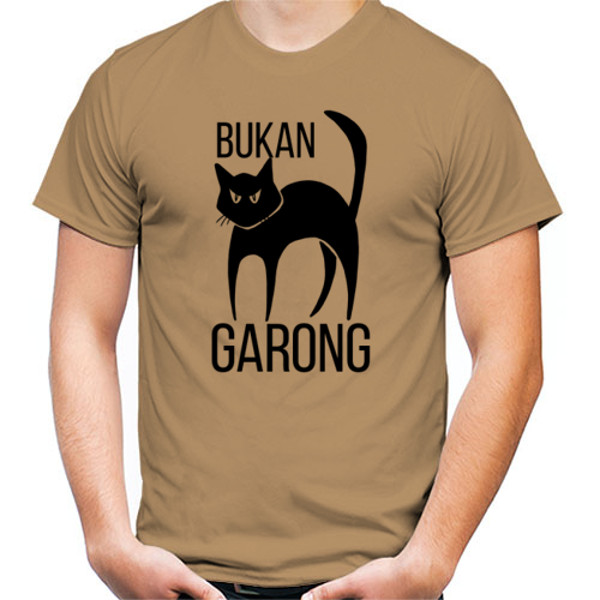 Detail Gambar Kucing Garong Nomer 25