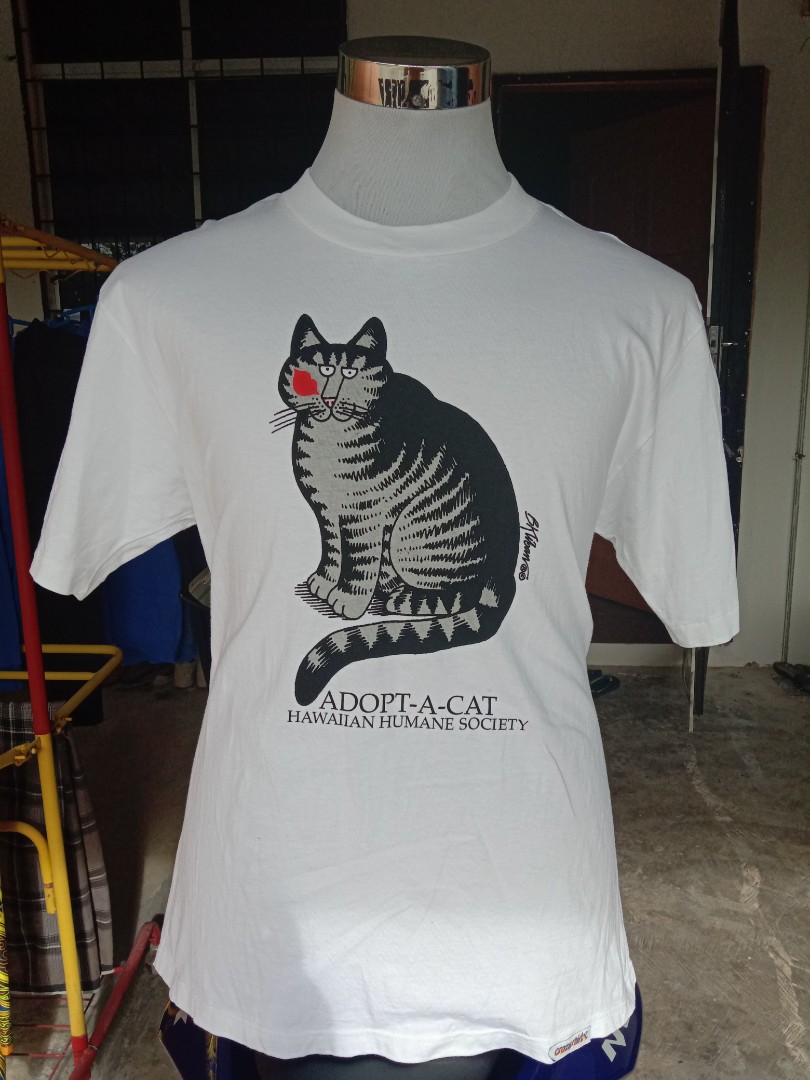 Gambar Kucing Gemuk