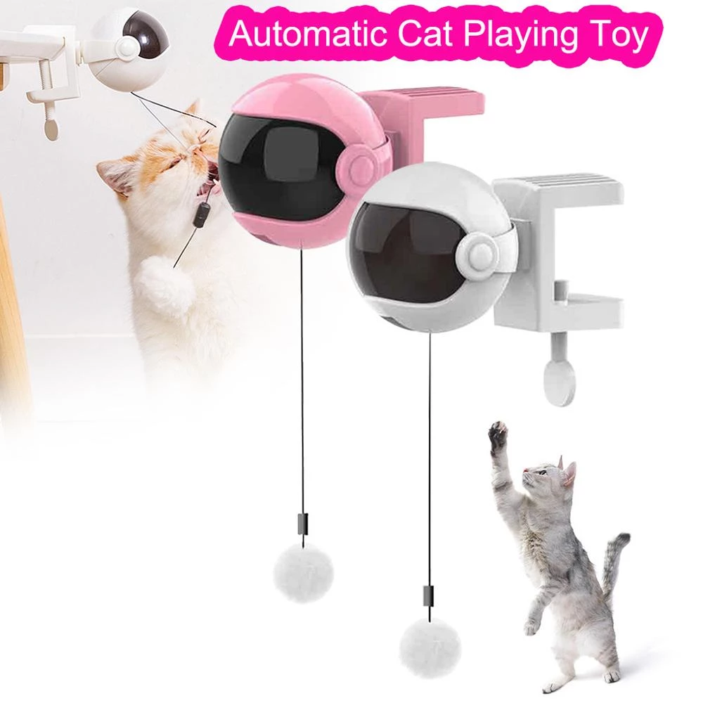 Detail Gambar Kucing Gerak Nomer 40