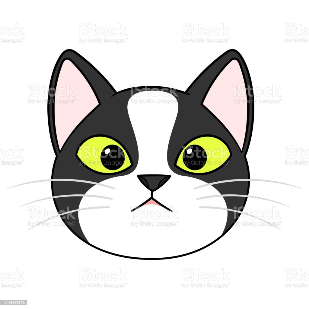 Gambar Kucing Hitam Putih - 52+ Koleksi Gambar