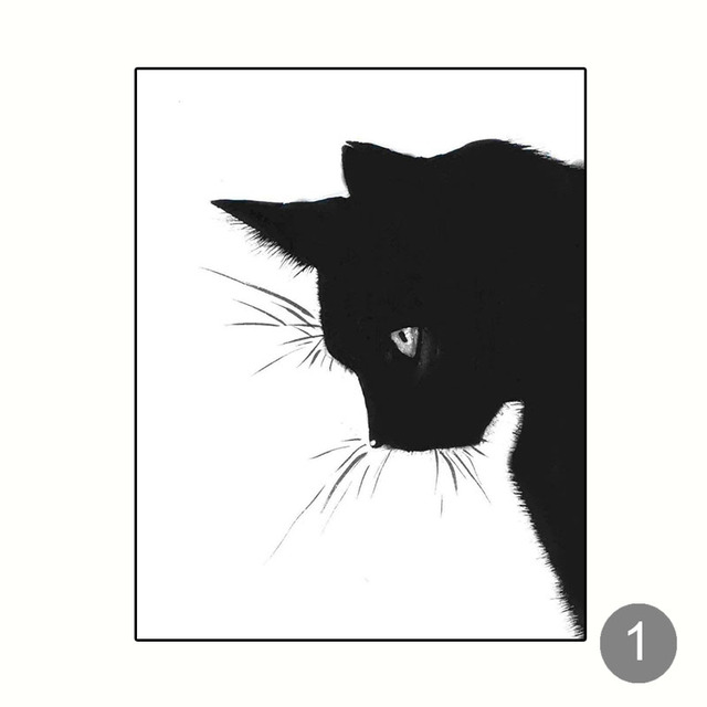 Detail Gambar Kucing Hitam Putih Nomer 47