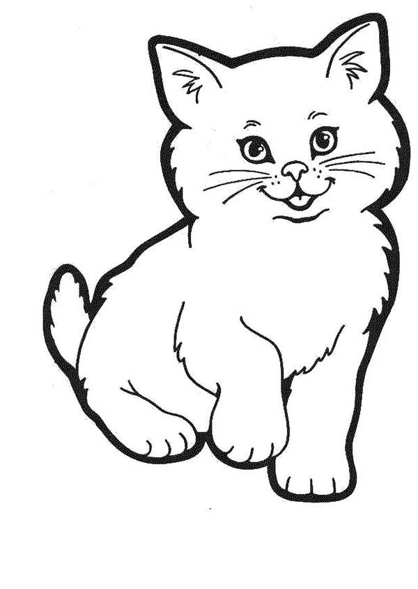 Gambar Kucing Hitam Putih Simple - KibrisPDR