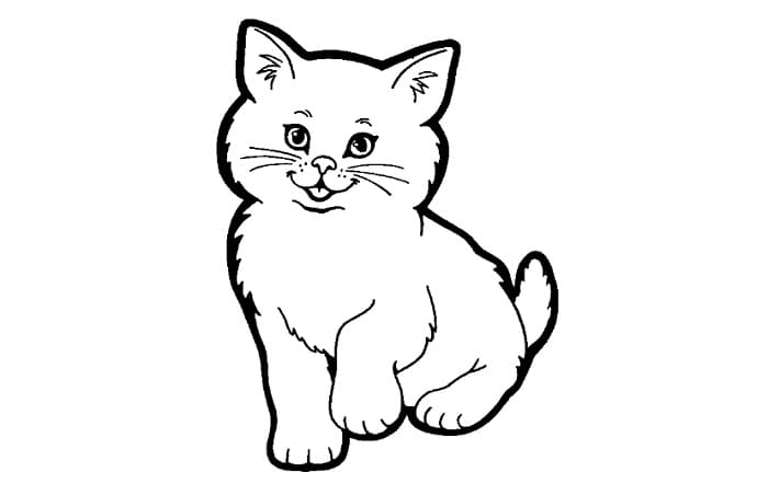Detail Gambar Kucing Hitam Putih Simple Nomer 17