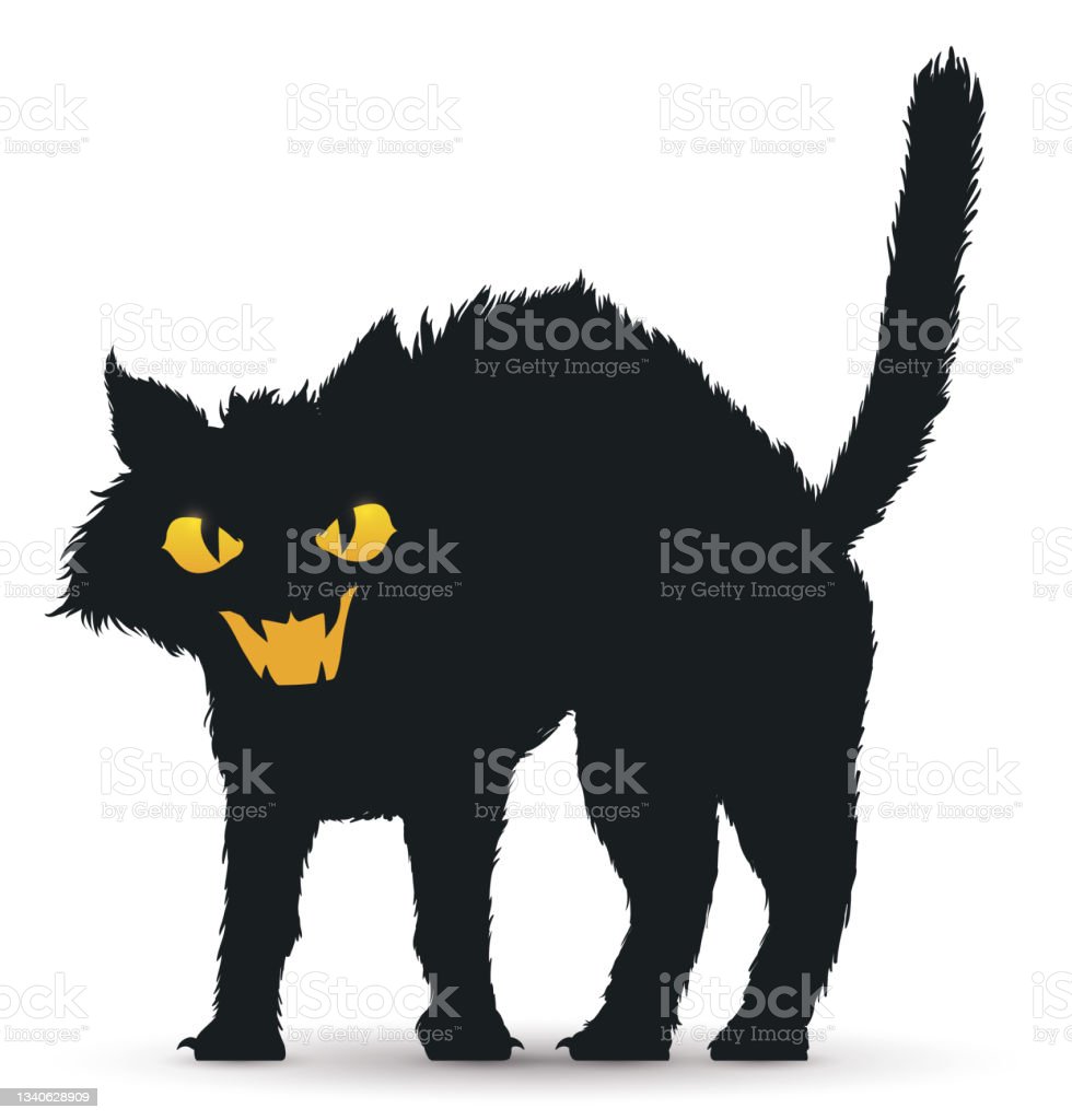 Detail Gambar Kucing Hitam Putih Simple Nomer 50