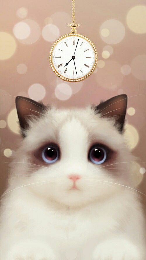 Detail Gambar Kucing Imut Untuk Wallpaper Nomer 4