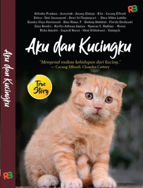 Detail Gambar Kucing Kata Kata Nomer 16