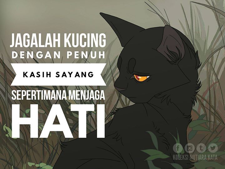 Detail Gambar Kucing Kata Kata Nomer 27