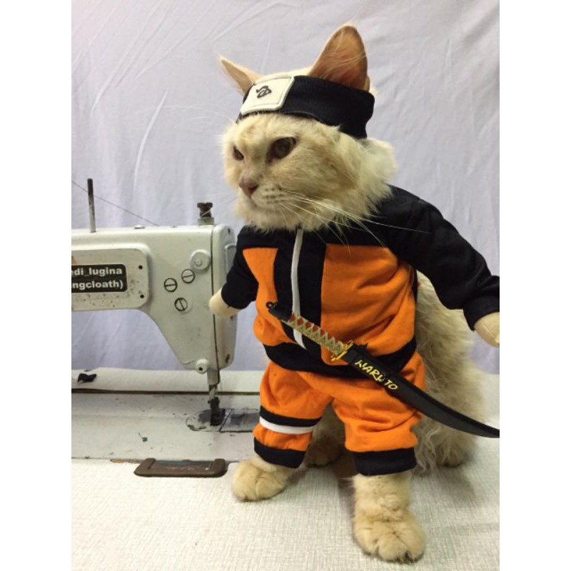 Detail Gambar Kucing Lucu Gambar Naruto Nomer 13