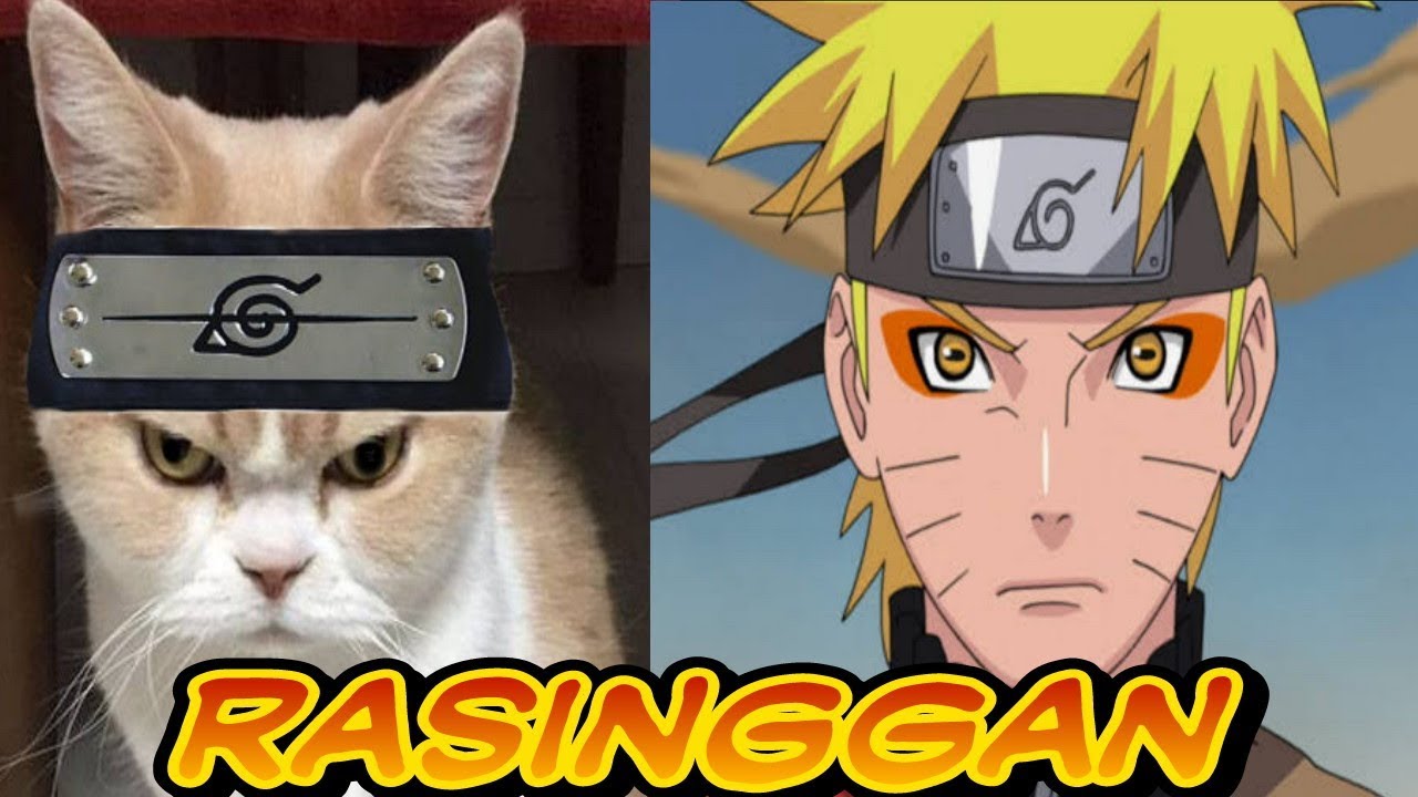 Detail Gambar Kucing Lucu Gambar Naruto Vs Sauke Nomer 13