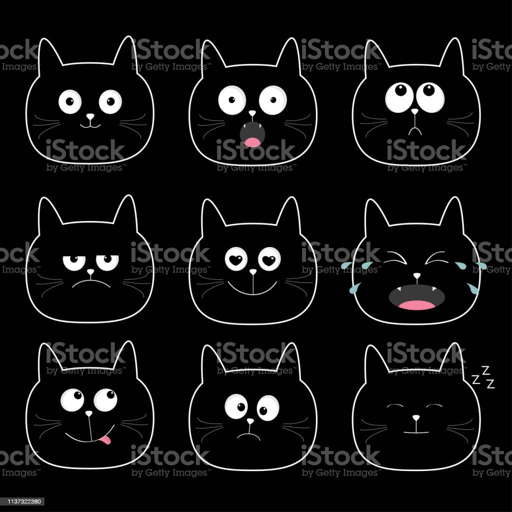 Detail Gambar Kucing Lucu Hitam Putih Nomer 11