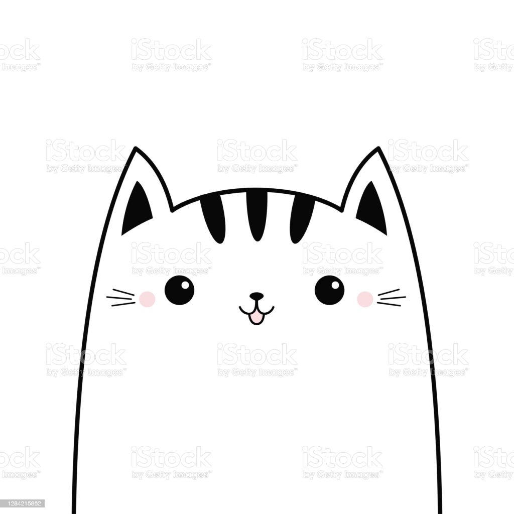 Detail Gambar Kucing Lucu Hitam Putih Nomer 9