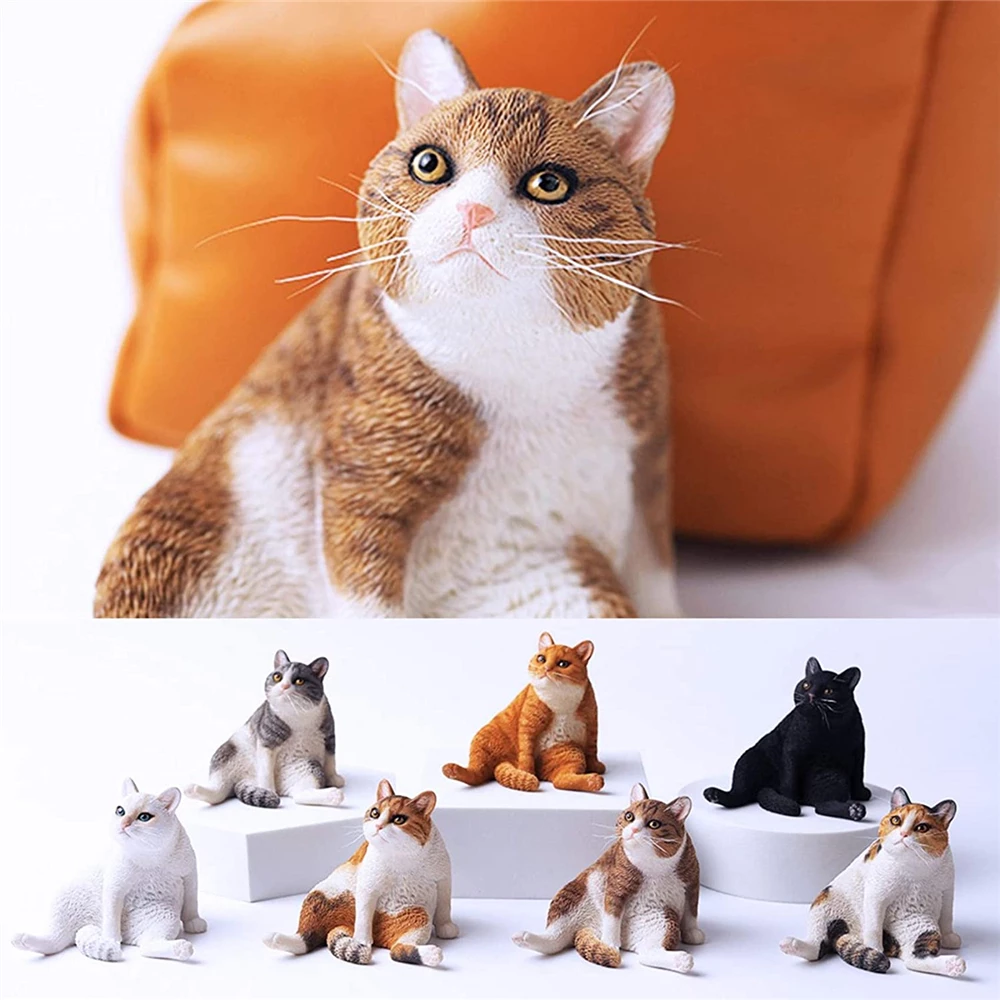 Detail Gambar Kucing Malas Nomer 55