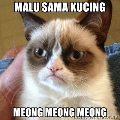 Detail Gambar Kucing Meong Meong Nomer 45