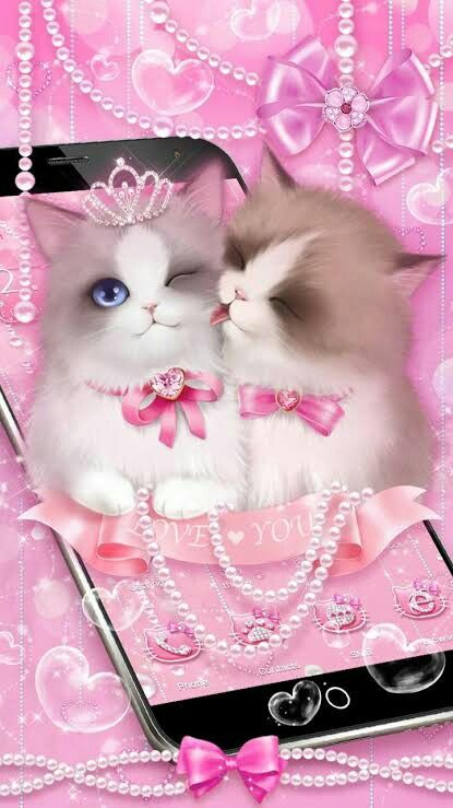 Gambar Kucing Pink - KibrisPDR