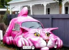 Detail Gambar Kucing Pink Nomer 38