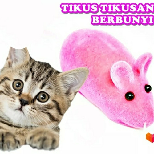 Detail Gambar Kucing Pink Nomer 53