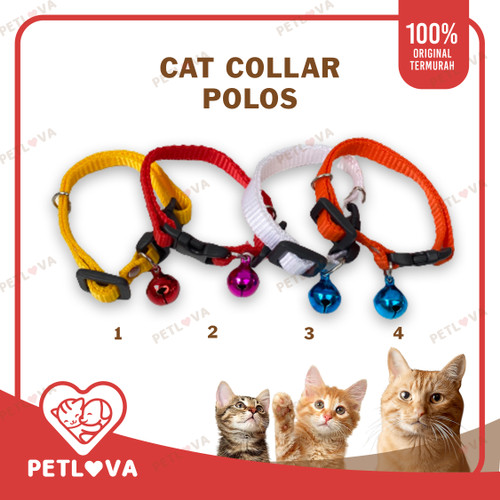 Detail Gambar Kucing Polos Nomer 26