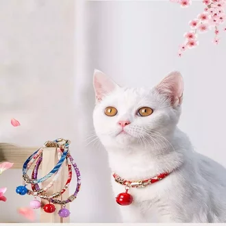 Detail Gambar Kucing Polos Nomer 37