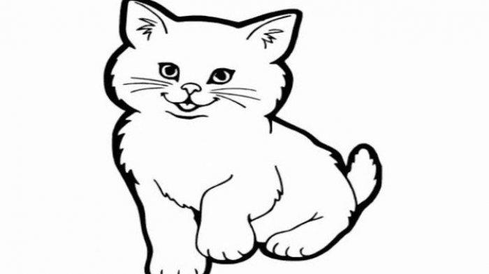 Detail Gambar Kucing Sketsa Nomer 26