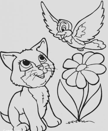 Detail Gambar Kucing Sketsa Nomer 55